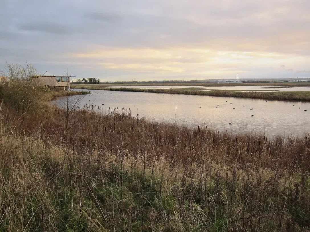 Wetland pools and the Reception Hide at Burton Mere Wetlands in winter