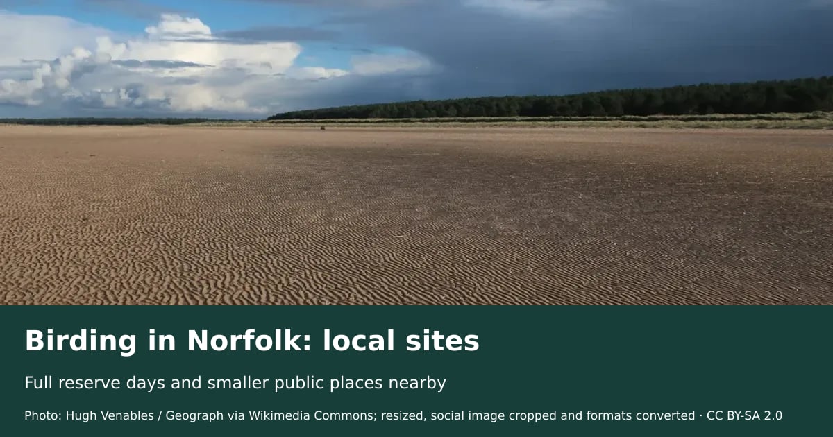 Birding in Norfolk: local sites | The AI Birder