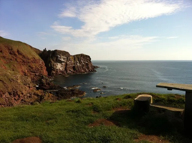 Rocky cliffs above the sea at St Abbs Head