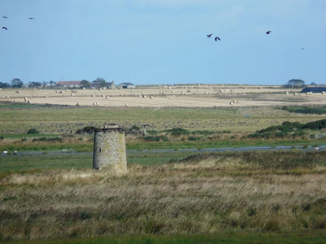 Water and grazing fields at Loch of Strathbeg with the old drainage windmill beyond